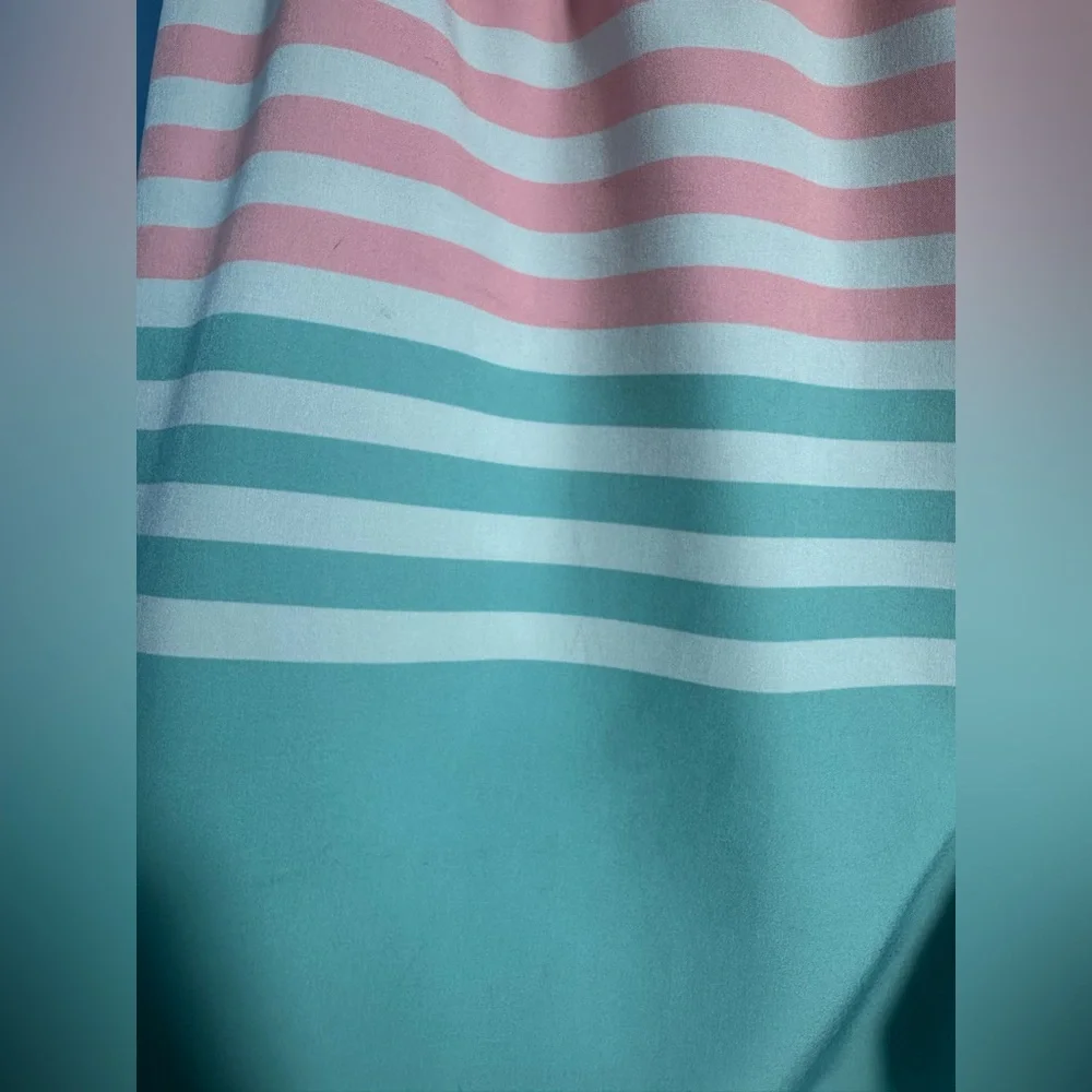 Chubbies Striped Pink and Blue Classic Swim Trunks 5.5 inseam